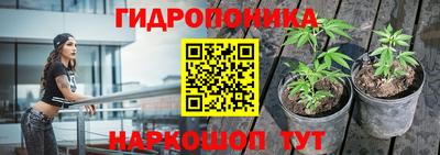 индика Азнакаево