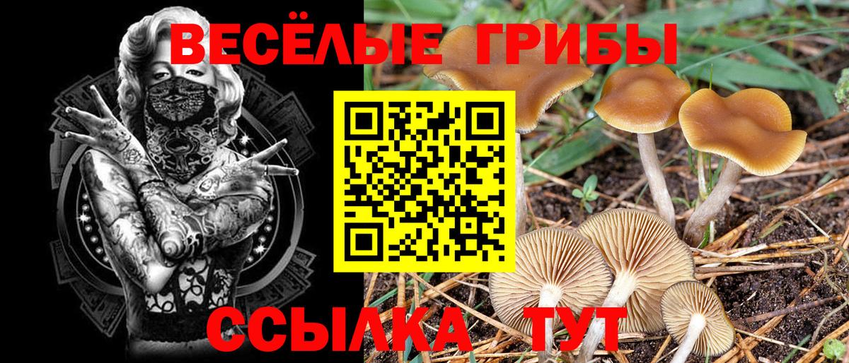 Галлюциногенные грибы мухоморы Азнакаево