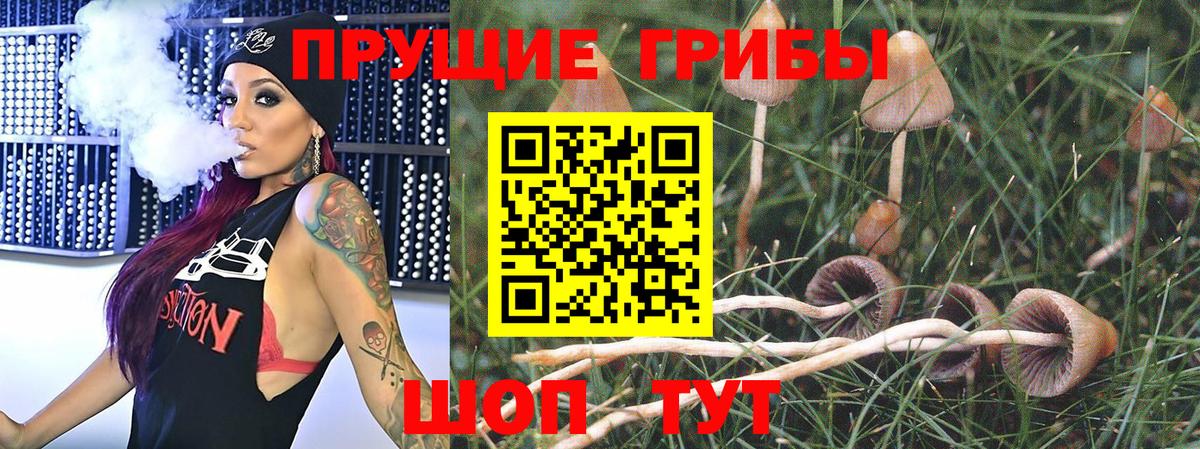 Псилоцибиновые грибы мухоморы  Вход с VPN  Азнакаево 