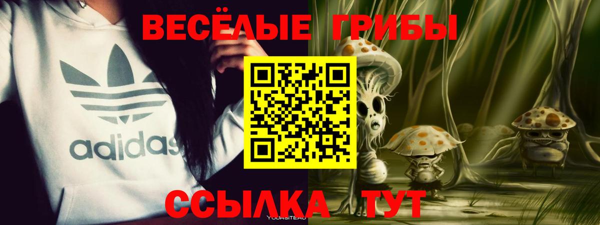 Меф   Alpha-PVP СОЛЬ   МАРИХУАНА  Вейп ТГК  ЭКСТАЗИ  Азнакаево  Гашиш  Где купить наркотики?  COCAIN 